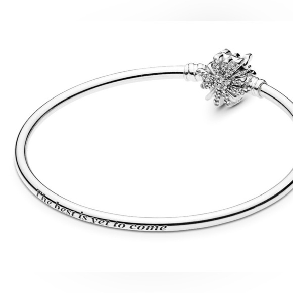Pandora Limited Edition Fireworks Bangle - Picture 2 of 8